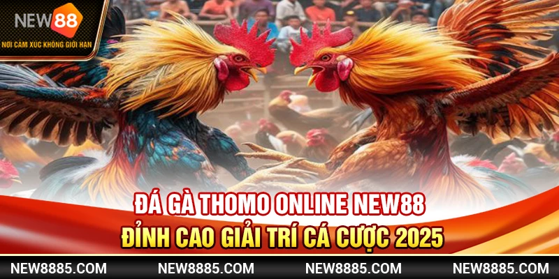 Đá Gà Thomo Online NEW88 Đỉnh Cao Giải Trí Cá Cược 2025