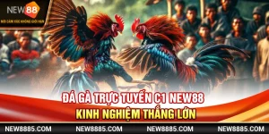 Đá Gà Trực Tuyến C1 NEW88 - Kinh Nghiệm Thắng Lớn