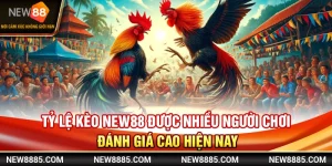 Tỷ Lệ Kèo New88 Được Nhiều Người Chơi Đánh Giá Cao Hiện Nay