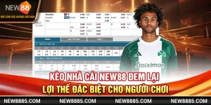 Kèo Nhà Cái New88 Đem Lại Lợi Thế Đặc Biệt Cho Người Chơi