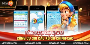 Rồng Bạch Kim NEW88 - Công Cụ Soi Cầu Xổ Số Chính Xác