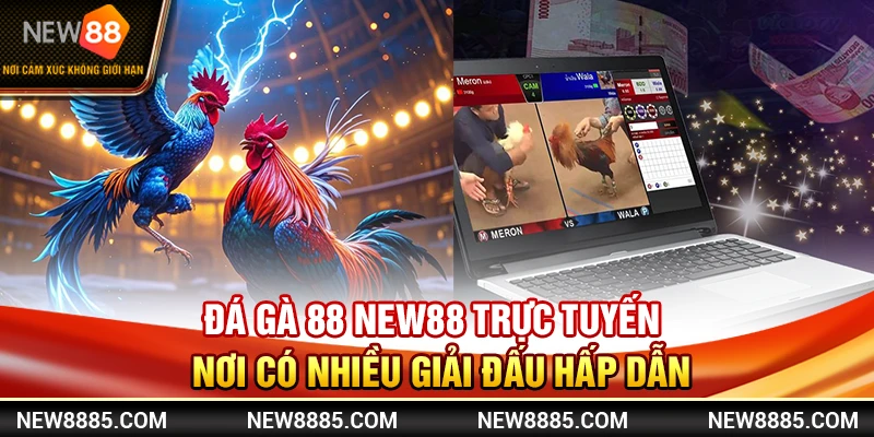 Đá Gà 88 New88 Trực Tuyến - Nơi Có Nhiều Giải Đấu Hấp Dẫn