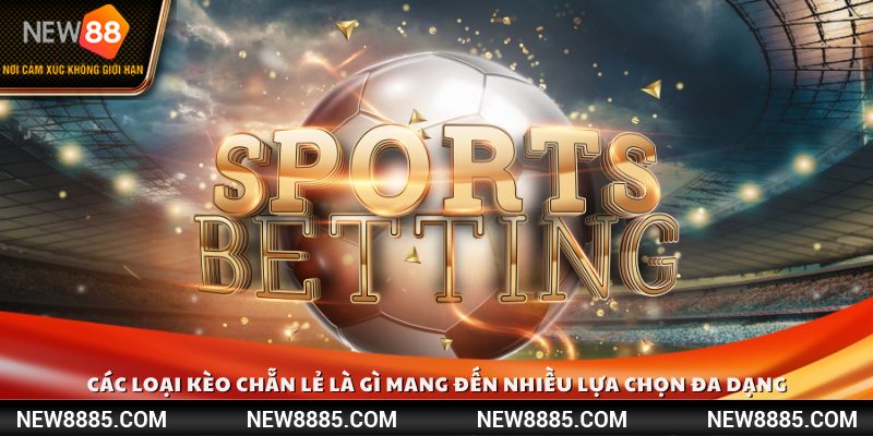 Các loại kèo chẵn lẻ là gì? Chính chúng mang đến nhiều lựa chọn đa dạng