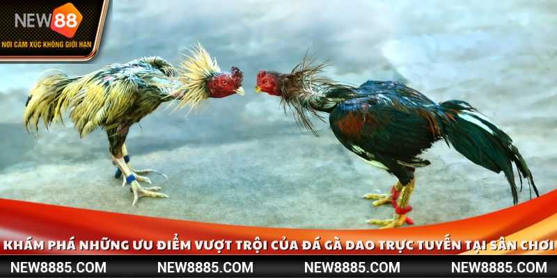 Khám phá những ưu điểm vượt trội của đá gà dao trực tuyến tại sân chơi