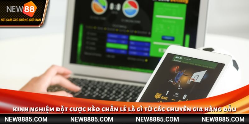 Kinh nghiệm đặt cược kèo chẵn lẻ là gì từ các chuyên gia hàng đầu