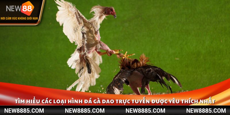 Tìm hiểu các loại hình cược trong đá gà dao trực tuyến được yêu thích nhất