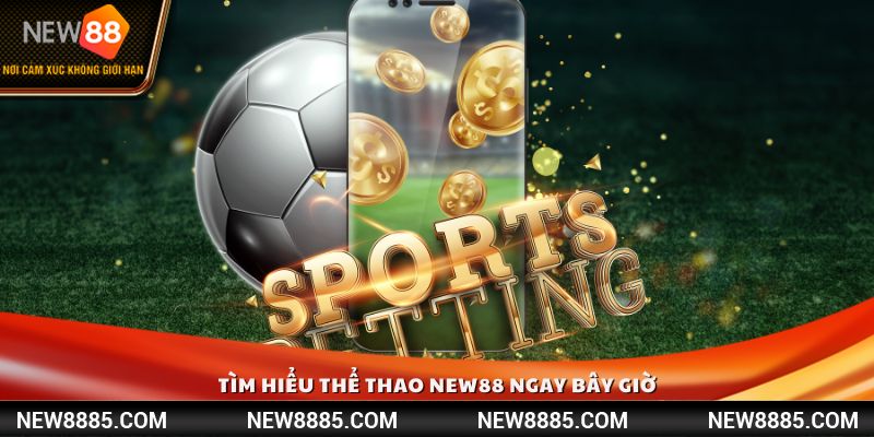 Tìm hiểu thể thao NEW88 ngay bây giờ